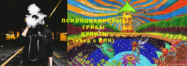PSILOCYBIN Балабаново