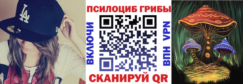 купить наркотики сайты  Похвистнево  Псилоцибиновые грибы Cubensis 